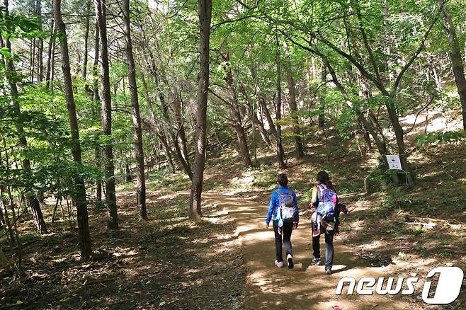 관광공사의 11월 추천 여행지, 보은 세조길 © News1