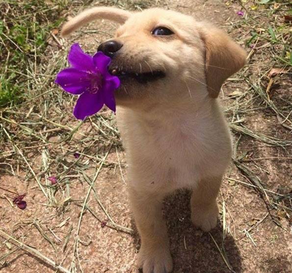 /써니 스카이즈 캡처