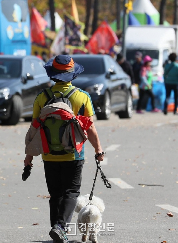 지난 22일 오전 서울 마포구 월드컵공원에서 한 시민이 반려견에 목줄을 채운 채 산책하고 있다. 연합
