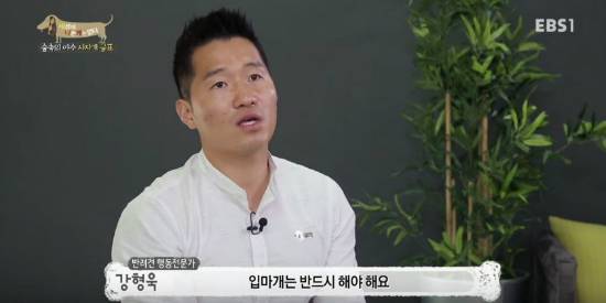 (사진=유튜브 영상 캡처)