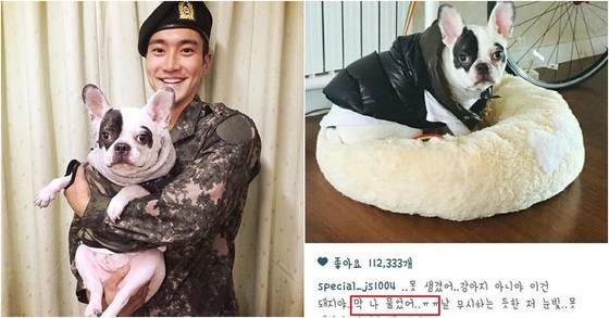 가수 최시원씨(왼쪽)와 반려견 빅시(왼쪽). [사진 온라인 커뮤니티]