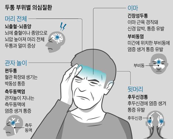그래픽=유두호 기자