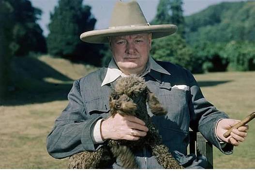 처칠의 상징적인 이미지인 사이렌 수트, 시가, 애견./출처=영국국립문서기록관리청