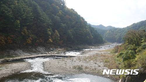 【봉화=뉴시스】김정환 기자 = 경북 봉화군 양원역에서 분천역으로 향하는 백두대간 협곡열차 차장 너머로 펼쳐진 가을 풍광. ace@newsis.com
