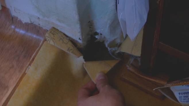 벽이나 바닥의 갈라진 틈으로 라돈이 침투할 수 있다. [중앙포토]