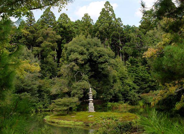 전나무, 버드나무, 소나무, 사시나무... 나무 퀴즈대회에 봉착하게 하는 석탑 호수.