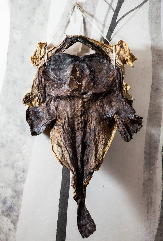 마산아구찜은 마른 아귀를 불려서 만든다. 마른 아귀로 처음 찜을 만들어 팔았다는 ‘혹부리 할매’의 며느리 김삼연씨가 운영하는 ‘오동동아구할매집’ 벽에 마른 아귀가 걸려있다. [중앙포토]