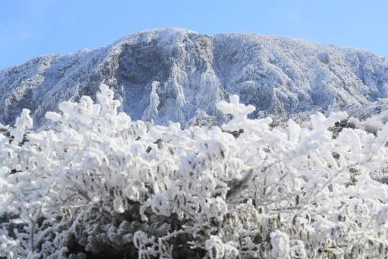 19일 오전 제주 한라산 윗세오름 대피소에서 바라본 한라산 남벽 정상부에 눈꽃이 피어있다. [연합뉴스]