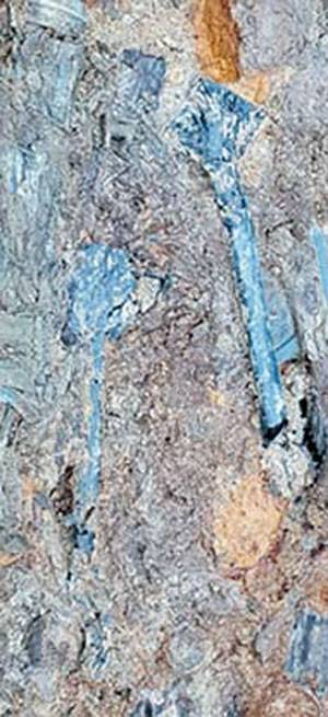 목관묘 6호서 출토된 부채.