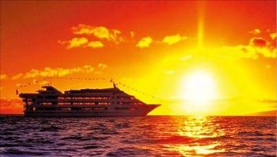 스타오브호놀룰루 크루즈