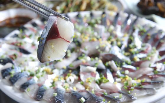 고등어 살이 통통하게 오르는 11월이다. 경남 통영 부속섬 욕지도의 명물 음식 고등어회. 쫄깃쫄깃한 살과 고소한 풍미가 일품이다. [중앙포토]