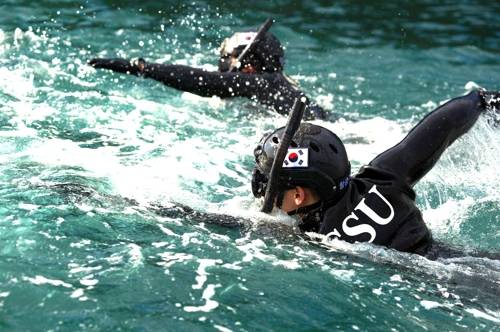 극한 훈련 이겨내는 SSU 대원들  (서울=연합뉴스) 해군 1함대 구조작전대(SSU) 대원들이 28일 동해상에서 인명구조훈련, 핀 마스크 바다수영훈련 등 강도 높은 해상구조훈련을 하고 있다.[해군 1함대 제공=연합뉴스]