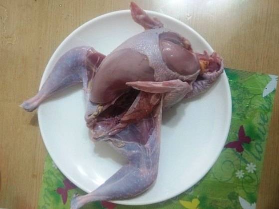 잡아놓은 꿩고기. 흔히 생치(生雉)라고 한다. 가슴살이 발달했다.