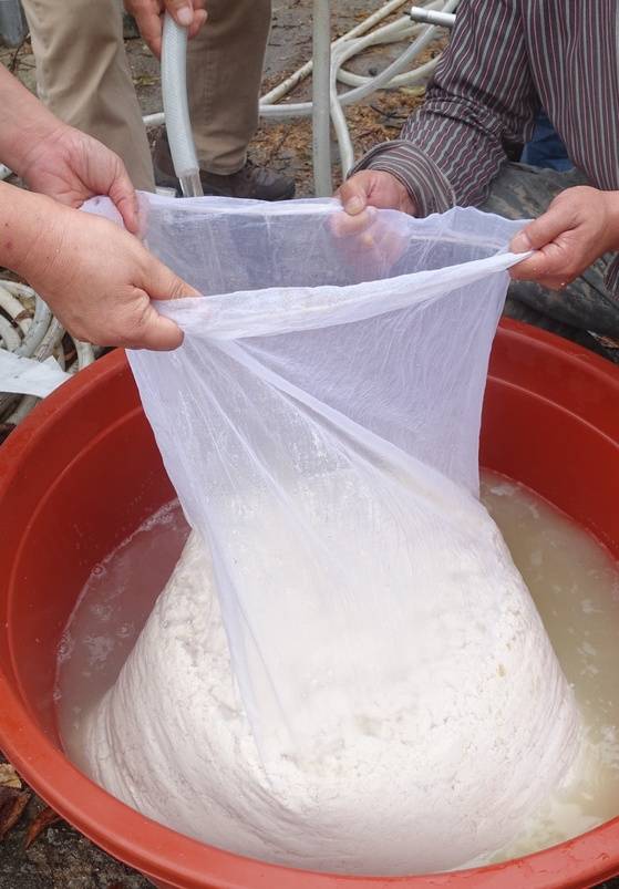 온도를 낮추면서 간수도 빠지도록 순두부에 찬물을 뿌리고 있다.