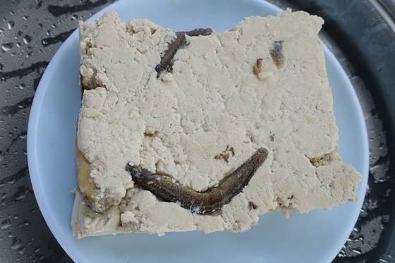 추두부 한 모. 의욕이 앞서는 아마추어들끼리 만들다 보니 자른 선이 반듯하지 않다.