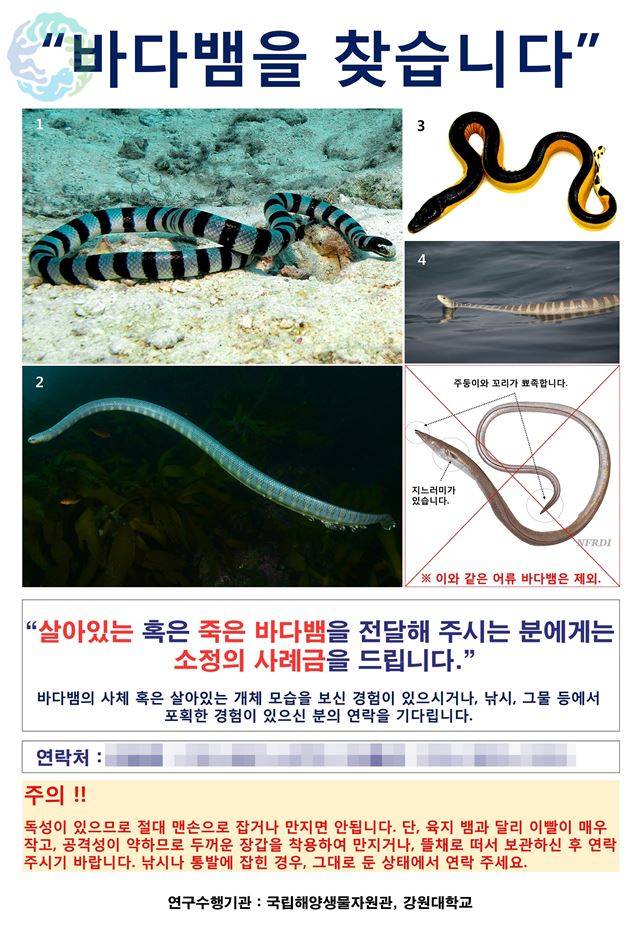 어민들에게 배포된 바다뱀 현상수배 포스터. 국립해양생물자원관 제공