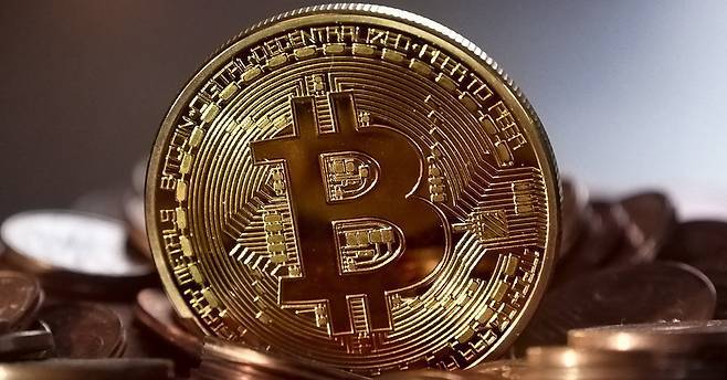 [사진 무료 이미지]