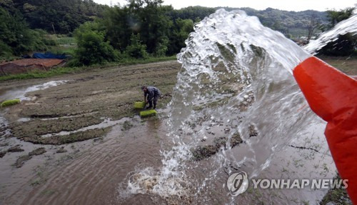 모내기용 물 공급 [연합뉴스 자료사진]