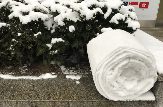 전국적으로 많은 눈이 내린 10일 서울 중구 시청역 인근 한 건물 앞 화단에 누군가 눈을 돌돌 말아 놓았다. 김성룡 기자