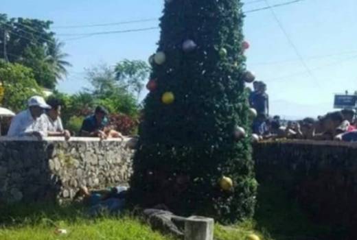 5명의 젊은이들이 목숨을 잃게 만든 크리스마스 트리의 모습. (사진=우니베르살)