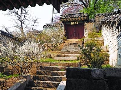 창덕궁 선원전 옆 양지당 뒤편. 홍 교수는 따듯한 뒤란의 흔적이 남아 있어 이곳을 좋아한다고 했다. 사진 눌와 제공