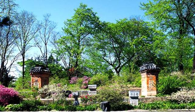 ▲아미산의 봄Ⓒ경복궁