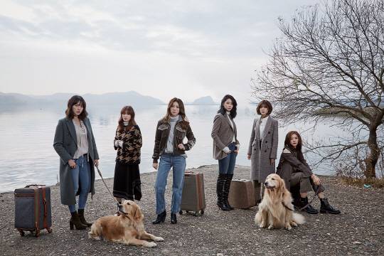 /사진=라이프앤도그