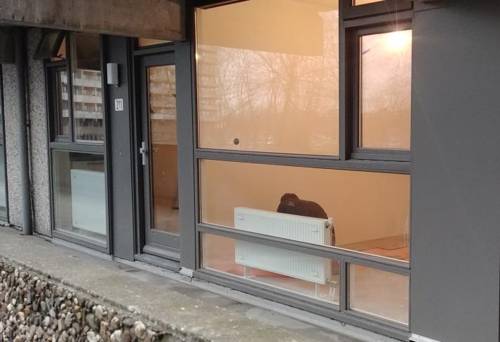 아파트를 개조 중인 주민 (암스테르담=연합뉴스) 정아란 기자 = 6일 찾은 네덜란드 암스테르담 더플랏 클레이뷔르흐의 한 주민이 집을 보수하고 있다. 2017.12.13. airan@yna.co.kr