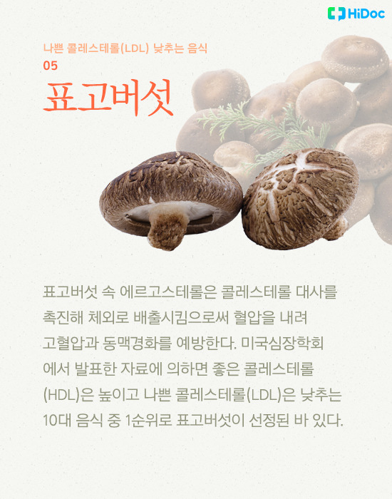 콜레스테롤 낮추는 음식