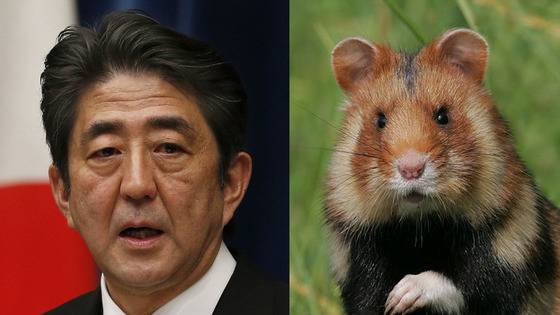 아베는 정치로 출세, 부자되는 쥐상.