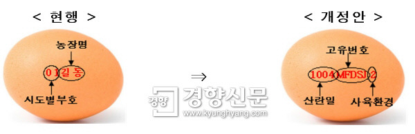 정부가 계란의 생산·유통정보를 투명하게 제공하기 위해 껍질에 산란일자와 사육환경까지 표시하도록 규정을 바꾸기로 했다. 농림축산식품부 제공