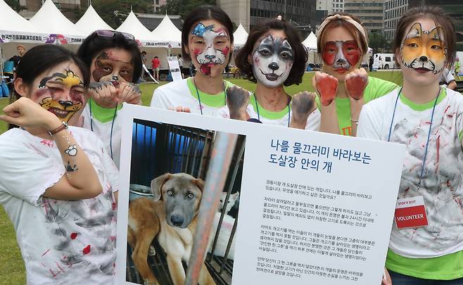 지난 7월 서울광장에서 '케어' 등 35개 동물권익단체 회원들이 개와 고양이 분장을 한 채 보신탕을 먹지 말자는 캠페인을 진행하고 있다. 김춘식 기자
