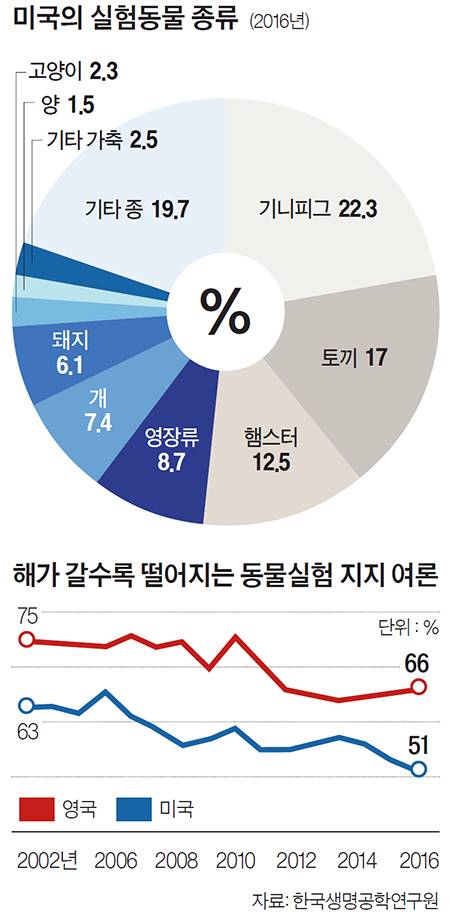 실험동물