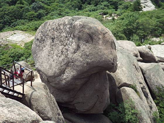 문장대 강아지바위. [사진 김순근]