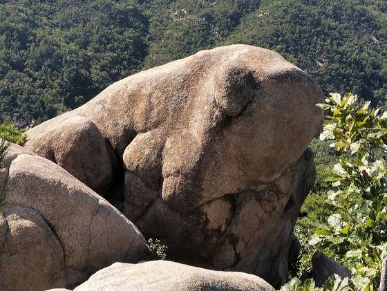 관악산 팔봉능선길 바위. [사진 김순근]
