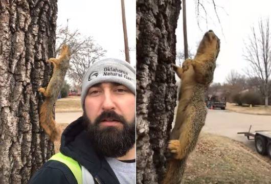 라이브릭 영상 캡처