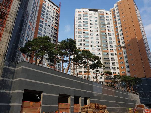 서울 성동구 금호동1가 e편한세상금호파크힐스. /한양부동산랜드공인중개사사무소 제공