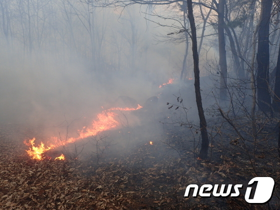 지난해 2월 16일 대전 동구 용계동 원주산 인근 한 야산에서 불이 나 산림 1.6ha가 불에 탔다. © News1