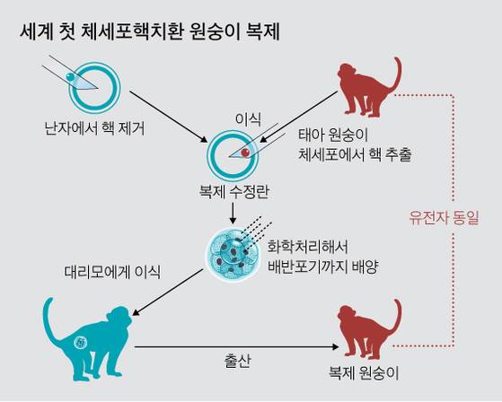 [그래픽=김영옥 기자 yesok@joongang.co.kr]