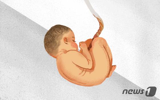 © News1 이은주 디자이너