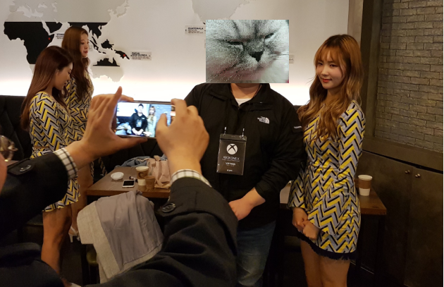 톰캣님의 모습