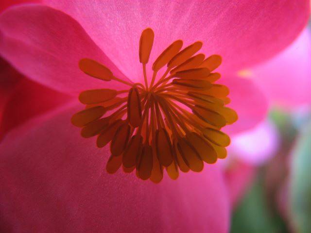 비아그라는 먹는 즉시 남성의 몸에 변화를 일으켜 효과가 생기는 반면 핑크 비아그라 애디는 여성의 뇌에 영향을 주는 방식이기 때문에 효과가 크지 않다는 게 전문가들의 평가다. 게티이미지