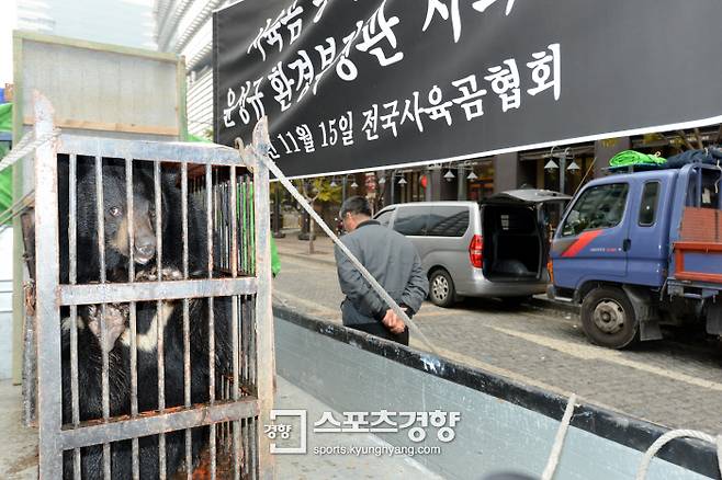 전국사육곰협회 회원들이 데려온 사육곰이 우리 안에 갇혀 있다. 김정근 기자
