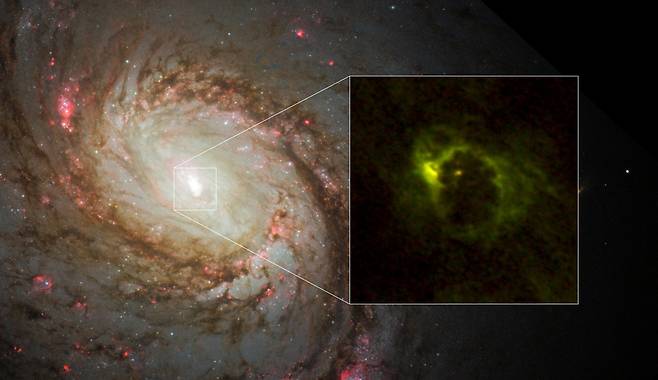 M77은하의 광학 망원경 이미지와 중심부의 전파 망원경 이미지. Credit: ALMA (ESO/NAOJ/NRAO), Imanishi et al., NASA/ESA Hubble Space Telescope and A. van der Hoeven