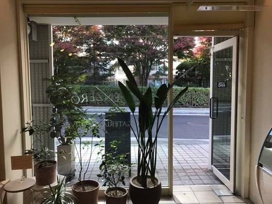 늦여름에 창밖을 내다 본 풍경.