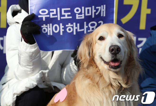 동물단체 회원들은 체고 40㎝ 개 입마개 착용 의무화 철회를 촉구했다./뉴스1 © News1 신웅수 기자