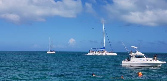 쿠바의 에메랄드빛 바다 위에 국영관광사의 요트와 파워보트가 떠있다. 외국인을 상대로 바다 주행과 스노클링 체험, 작은 섬에서의 식사와 음악 공연 등으로 외화를 번다.