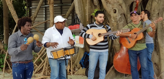 쿠바 아바나 서부 헤밍웨이 옛 자택 앞에서 연주 중인 마리아치. 쿠바 어디에서나 흥겹거나 애조 띤 라틴 음악 소리가 그치지 않는다. 외국인의 주는 팁은 이들의 생활 수단이다.