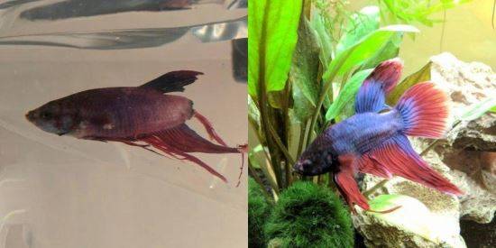 사진 제공=Victoria Schild