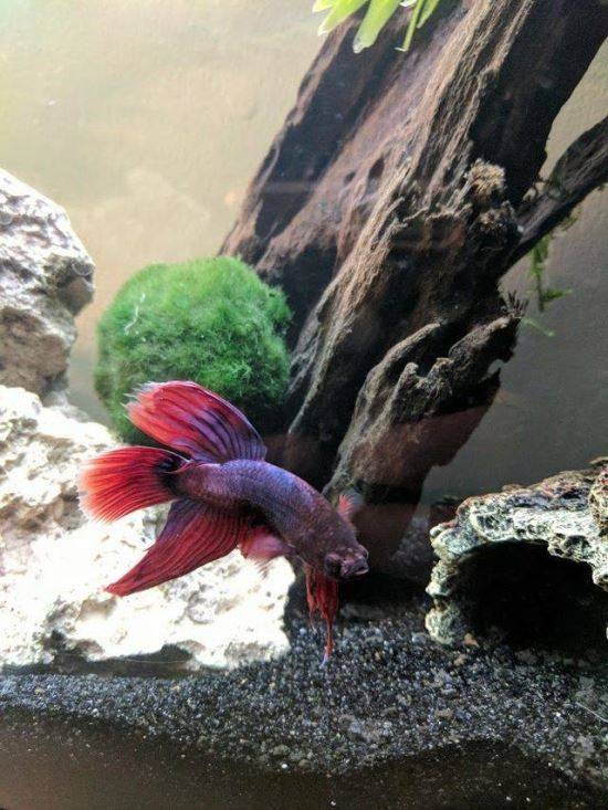 사진 제공=Victoria Schild